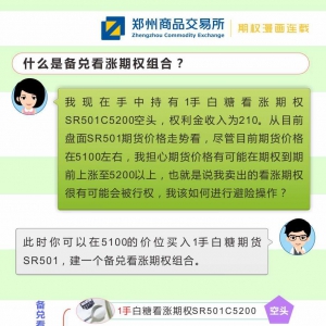 什么是备兑看涨期权组合