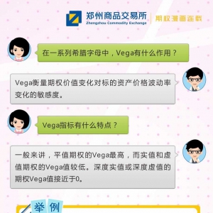 什么是Vega